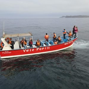 Pesca Deportiva en lancha/bote (3 horas)